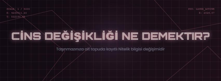 Cins De�i�ikli�i